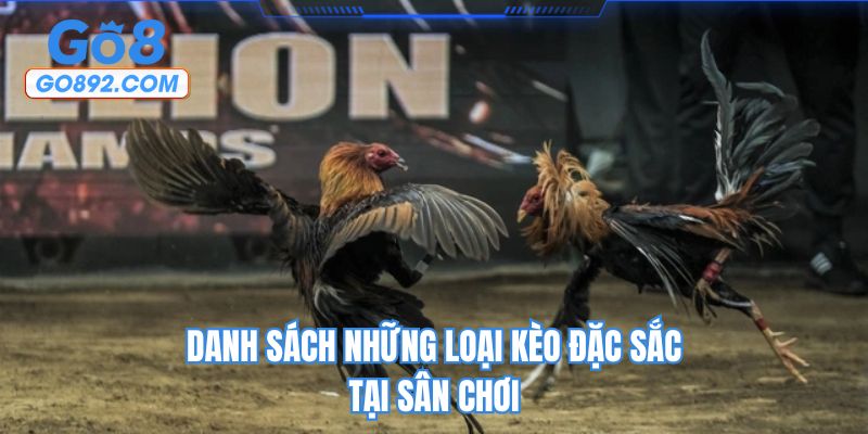 Danh sách những loại kèo đặc sắc tại sân chơi